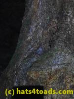 /home//u458753944/public_html/sourcegallery////McKaig Nature Center/2020-06-05/P6050517.JPG